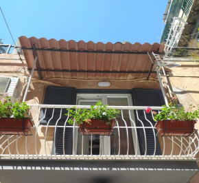Palazzetto 305